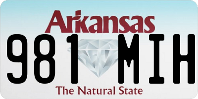 AR license plate 981MIH