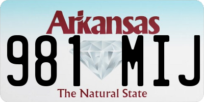 AR license plate 981MIJ
