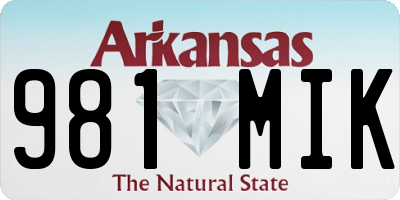 AR license plate 981MIK