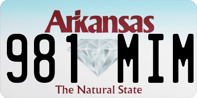 AR license plate 981MIM