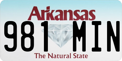 AR license plate 981MIN