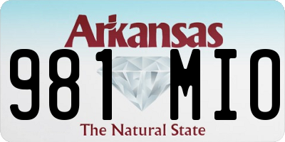 AR license plate 981MIO