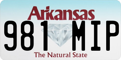 AR license plate 981MIP