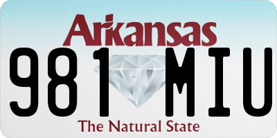 AR license plate 981MIU