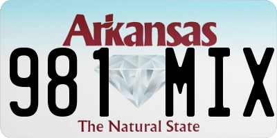 AR license plate 981MIX