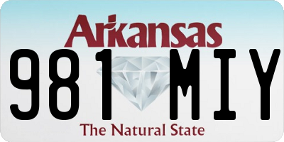 AR license plate 981MIY
