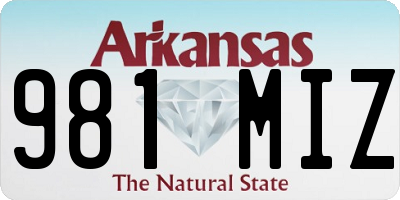 AR license plate 981MIZ
