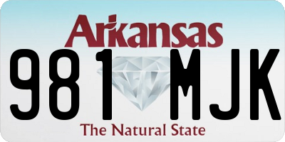AR license plate 981MJK