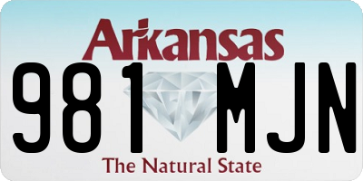 AR license plate 981MJN