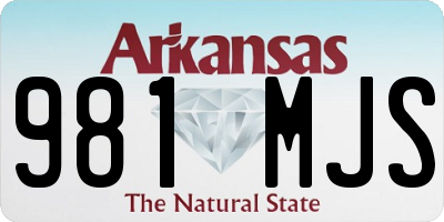 AR license plate 981MJS