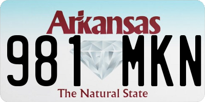 AR license plate 981MKN