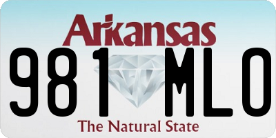 AR license plate 981MLO