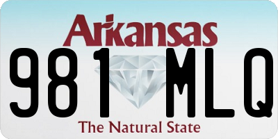 AR license plate 981MLQ