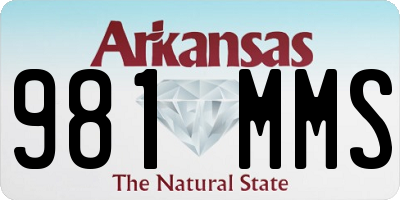 AR license plate 981MMS