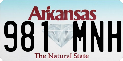 AR license plate 981MNH