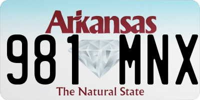 AR license plate 981MNX