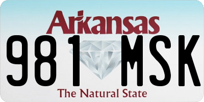 AR license plate 981MSK