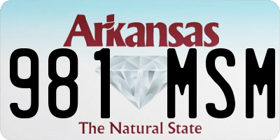 AR license plate 981MSM