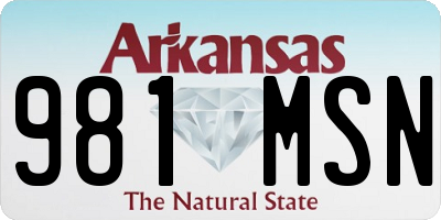 AR license plate 981MSN
