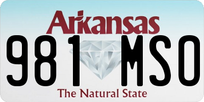 AR license plate 981MSO