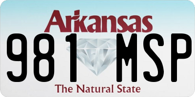 AR license plate 981MSP