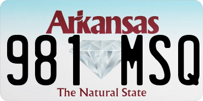 AR license plate 981MSQ