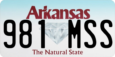 AR license plate 981MSS