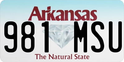 AR license plate 981MSU