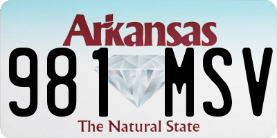 AR license plate 981MSV