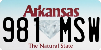 AR license plate 981MSW