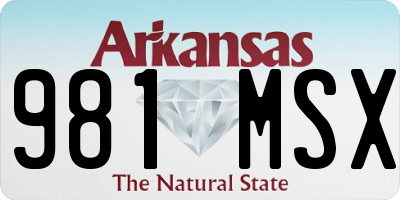 AR license plate 981MSX