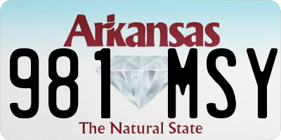 AR license plate 981MSY