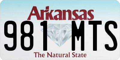 AR license plate 981MTS