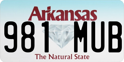 AR license plate 981MUB