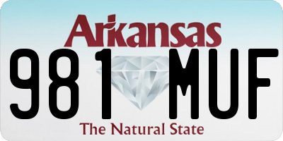 AR license plate 981MUF
