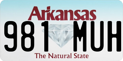 AR license plate 981MUH