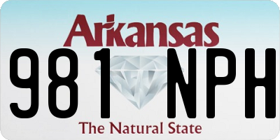 AR license plate 981NPH