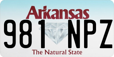 AR license plate 981NPZ