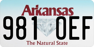 AR license plate 981OEF