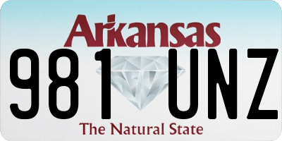 AR license plate 981UNZ
