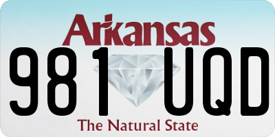 AR license plate 981UQD