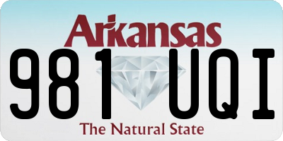 AR license plate 981UQI