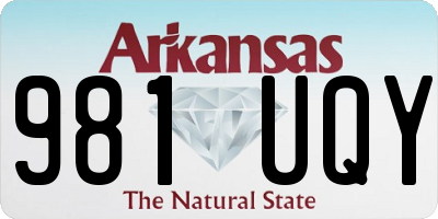 AR license plate 981UQY