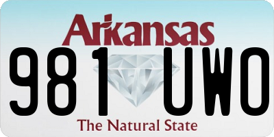 AR license plate 981UWO