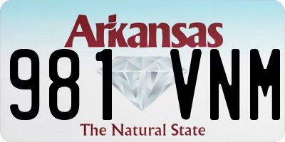 AR license plate 981VNM