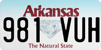 AR license plate 981VUH