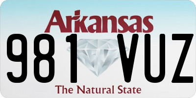 AR license plate 981VUZ