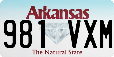 AR license plate 981VXM