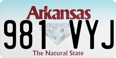 AR license plate 981VYJ