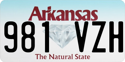 AR license plate 981VZH